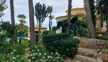 IMS-So2-Marquesa V-009.jpg